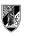 Vitória de Guimarães